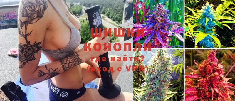 hydra как войти  наркота  Никольск  Каннабис план 